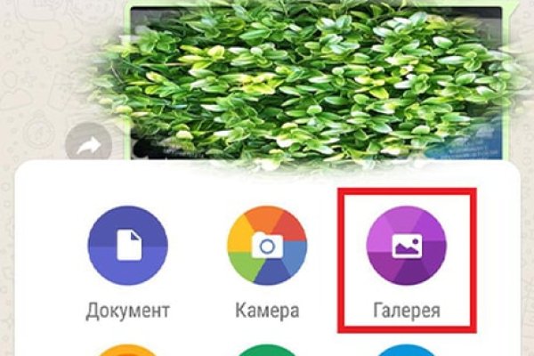 Kraken как найти ссылку