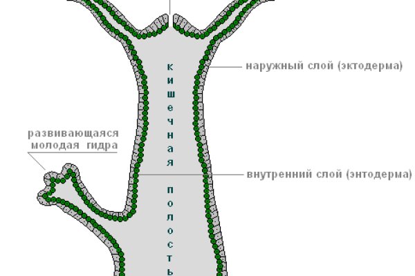 Маркет плейс кракен маркетплейс