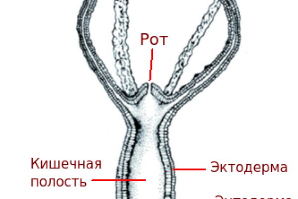 Адрес кракен в тор