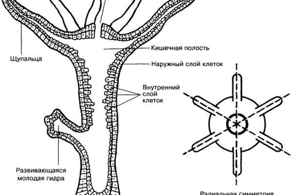 Кракен вход krakens13 at