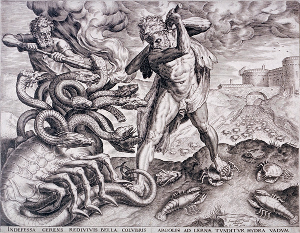 Kraken market