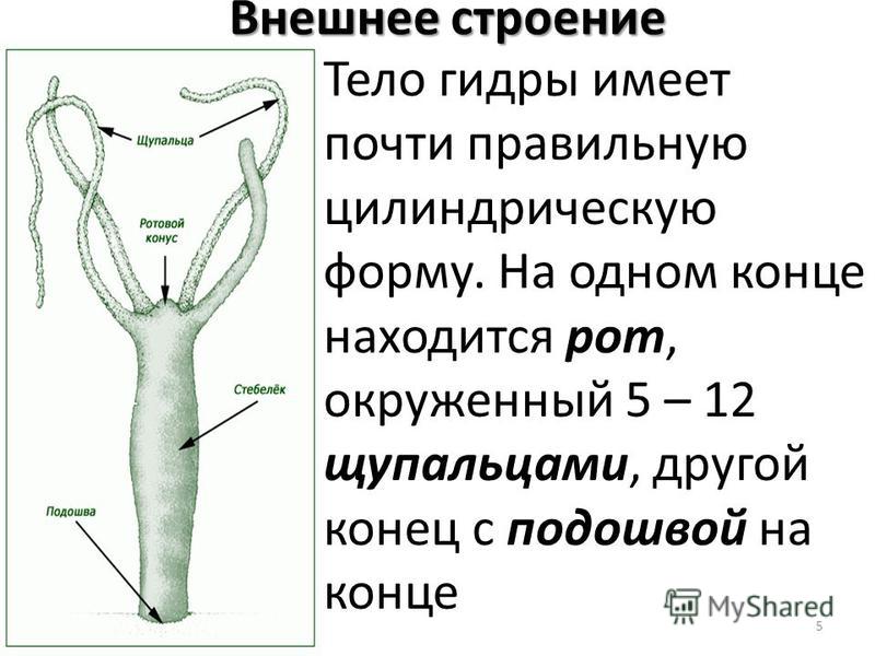 Кракен актуальные ссылки на сегодня